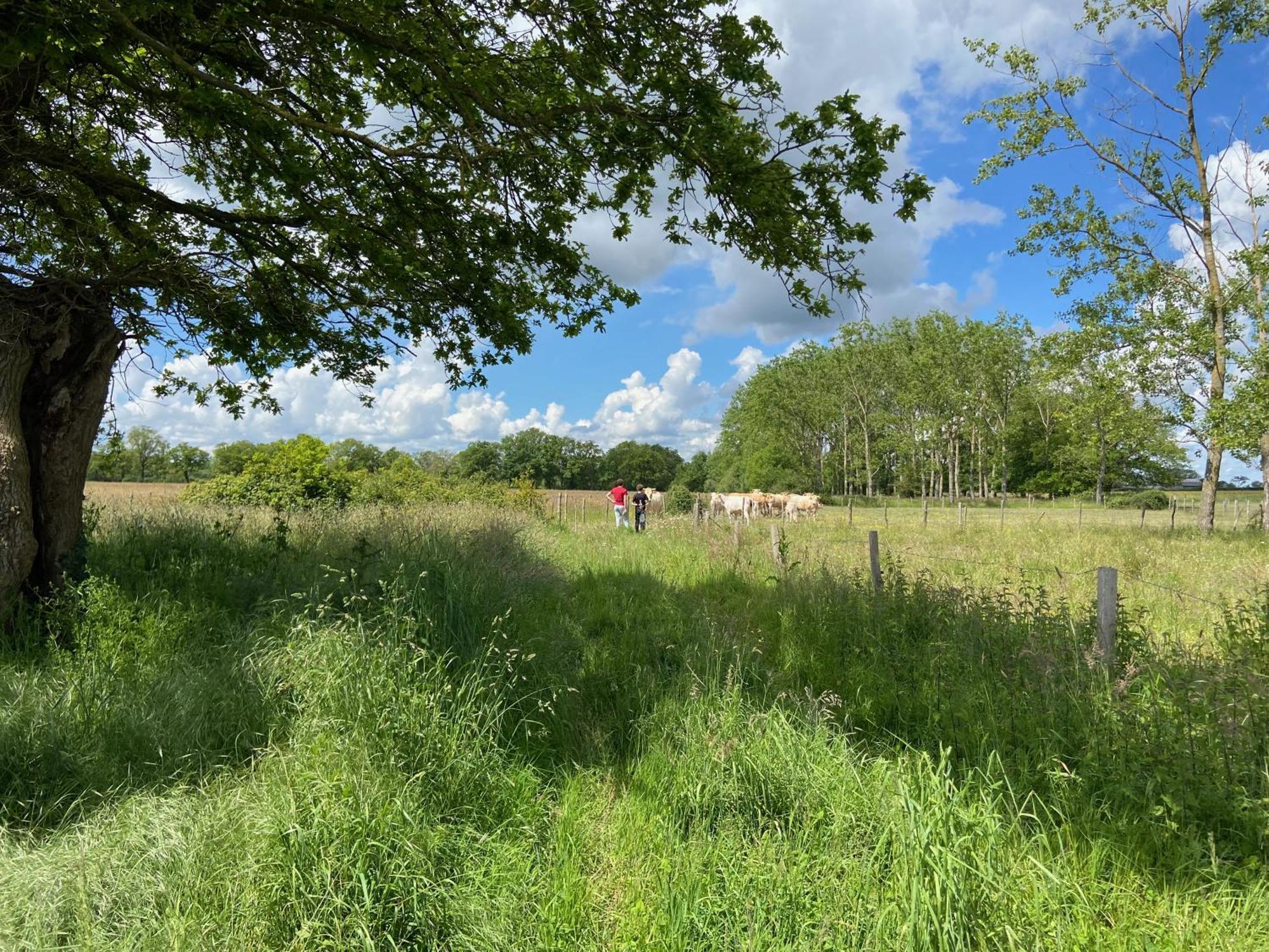 Hébergement de vacances Proche Puy Dufou - Les Buardieres Saint-Pierre-des-Echaubrognes